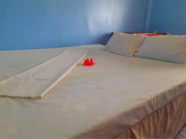 Mana Lagoon Backpackers Экстерьер фото