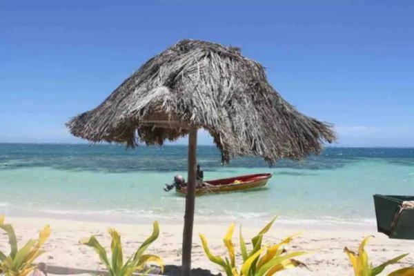 Mana Lagoon Backpackers Экстерьер фото